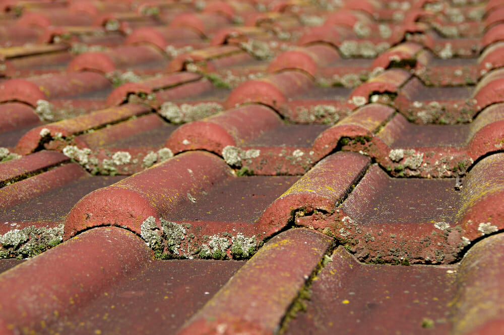 Common Summer Roofing Problems in Philadelphia - INDUSTRIAL ROOFING  CONTRACTORS