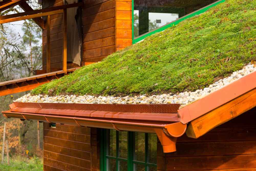 Everything You Need To Know About Green Roofing Systems