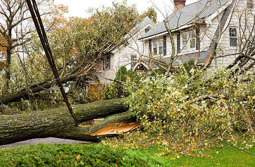 What to Do if a Storm Damages Your Roof in Philadelphia?