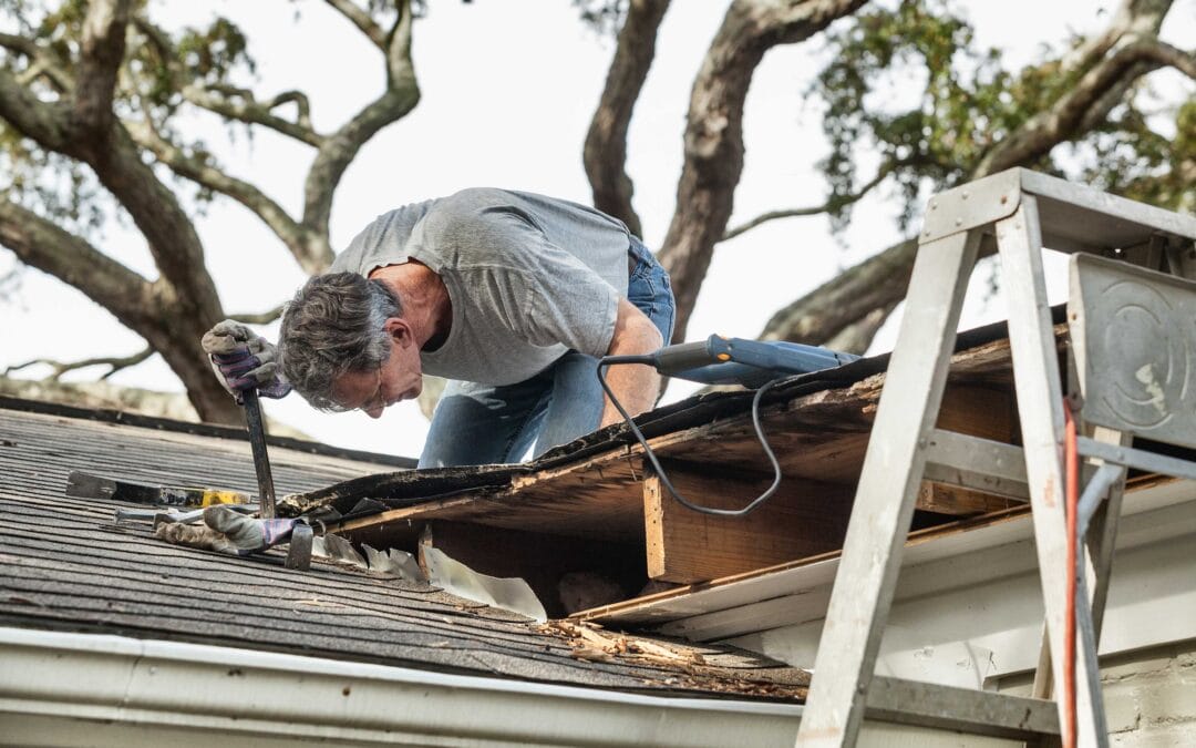 New Roof Time: The 3 Most Common Reasons Feltonville Residents Replace Their Roofs