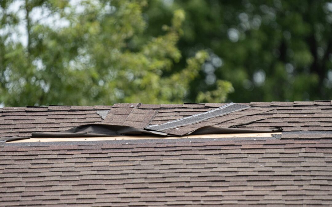 Stormy Weather: 6 Practical Tips to Help You Handle Storm Damage to Your Frankford Roof